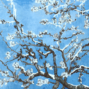 爆乳美女午夜福利视频
