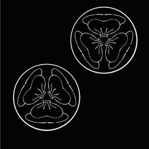 爆乳美女午夜福利视频
