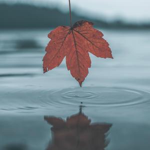 爆乳美女午夜福利视频
