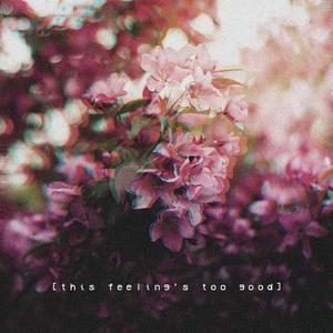 爆乳美女午夜福利视频
