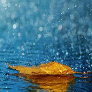 爆乳美女午夜福利视频
